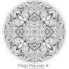 Mega Mandala #1